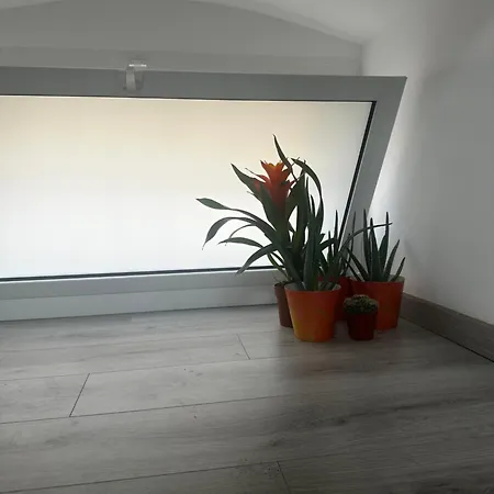Civico 12 Apartment